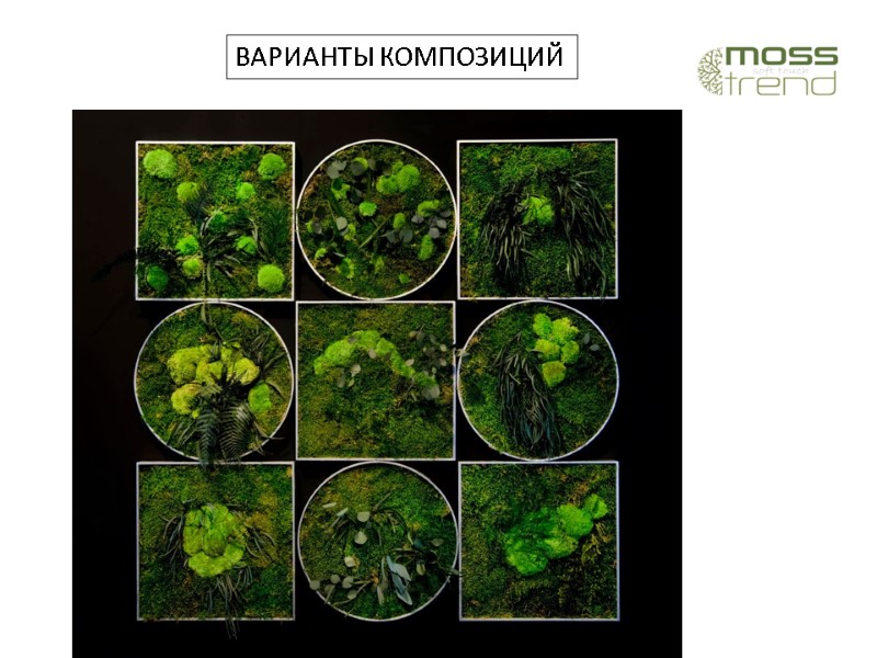 ВАРИАНТЫ КОМПОЗИЦИЙ